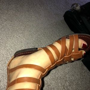 Steve Madden gladiator sandals